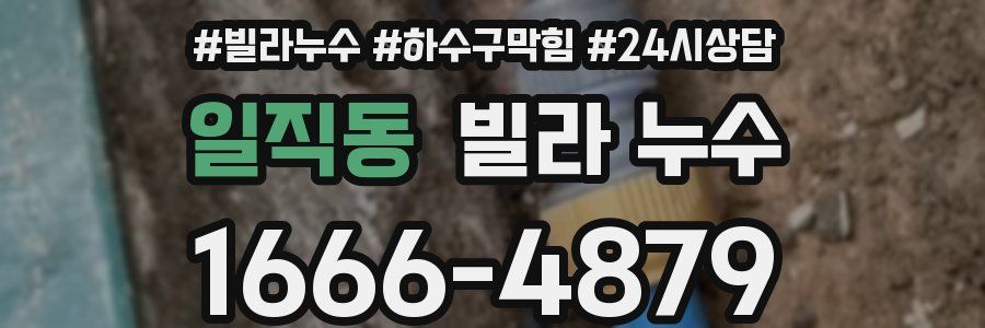 일직동 빌라 누수