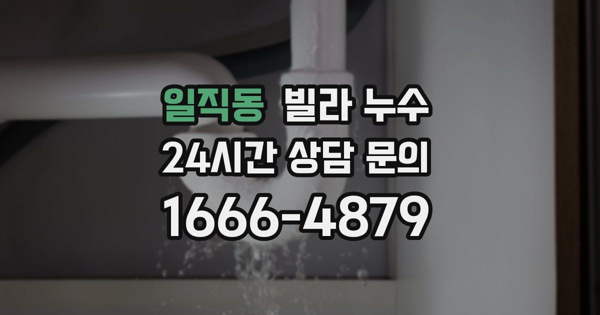 일직동 빌라 누수