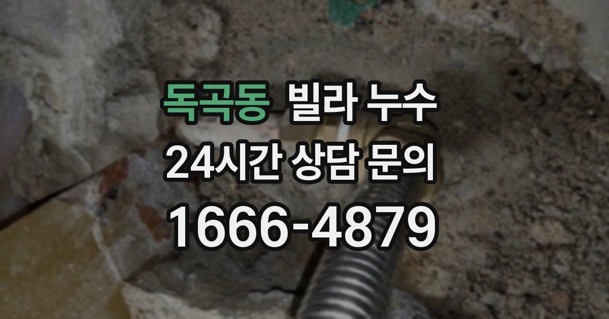 독곡동 빌라 누수