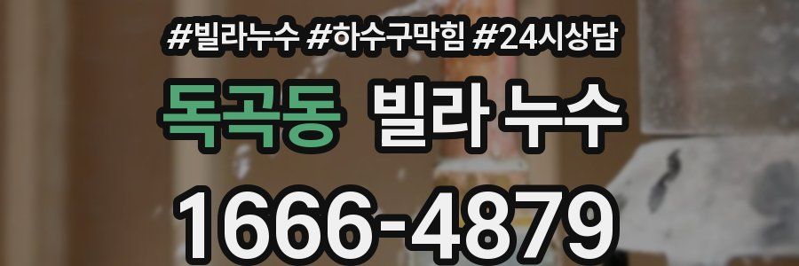 독곡동 빌라 누수