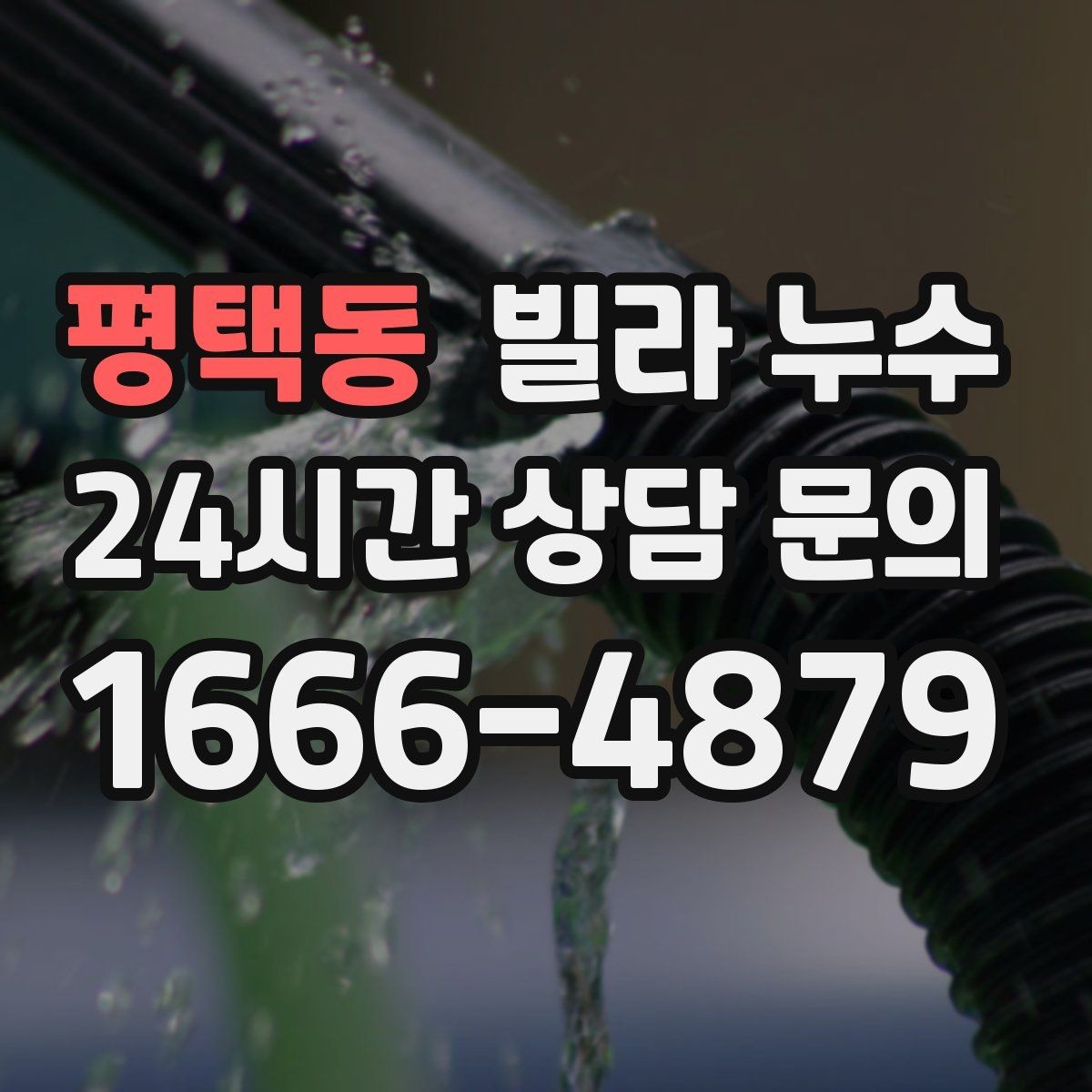 평택동 빌라 누수 곰팡이가 번지기 전 빠른 대응이 필요합니다