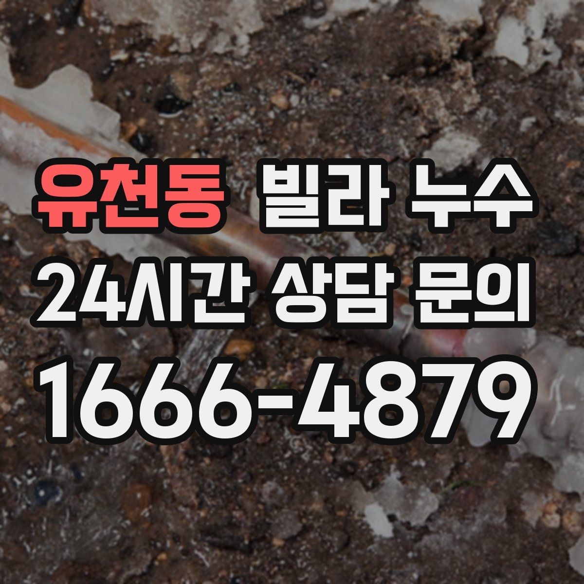 유천동 빌라 누수 욕실 타일 줄눈이 떨어지면 누수로 이어질 수 있어요
