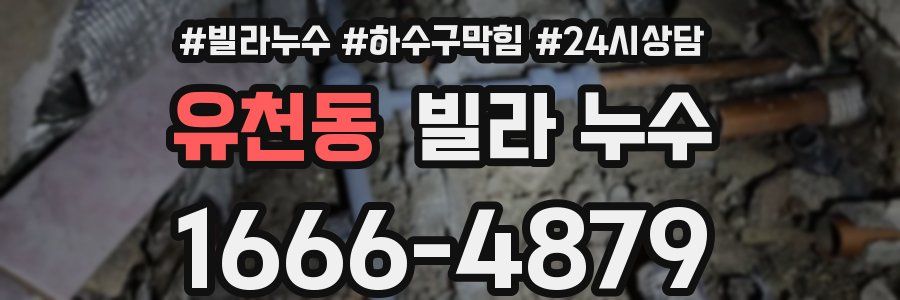 유천동 빌라 누수
