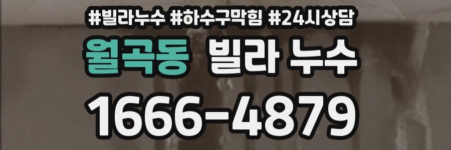 월곡동 빌라 누수