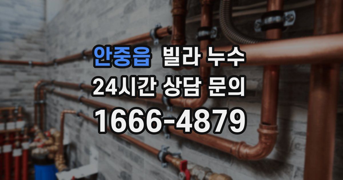 안중읍 빌라 누수