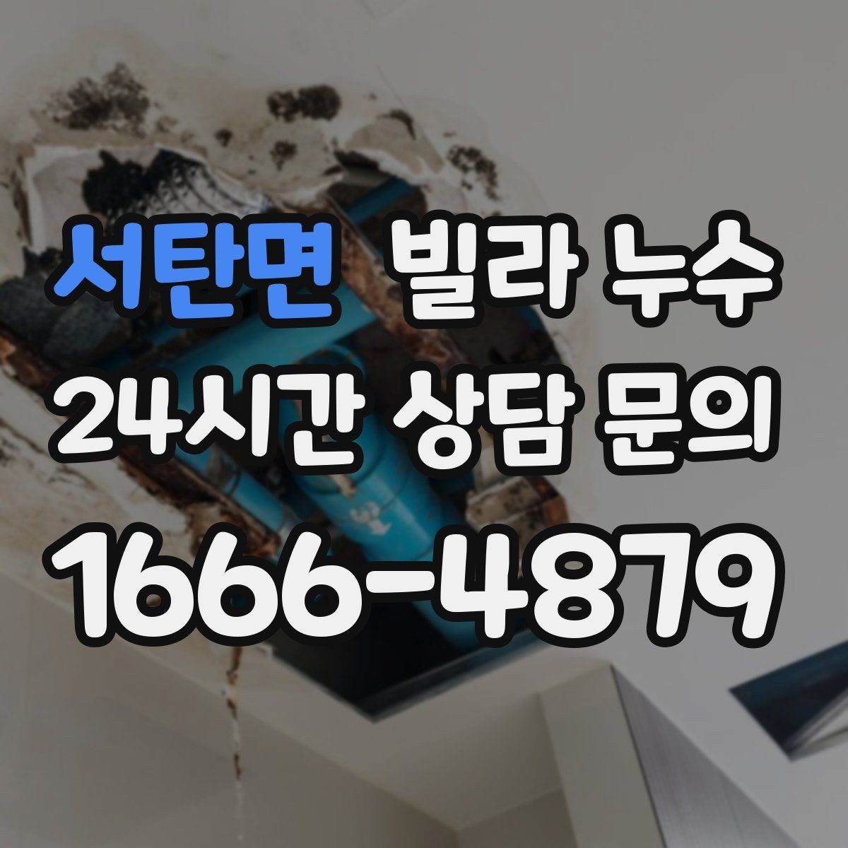 서탄면 빌라 누수 거실 천장에 작은 물방울이 맺히기 시작했다면