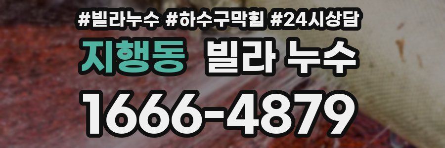 지행동 빌라 누수