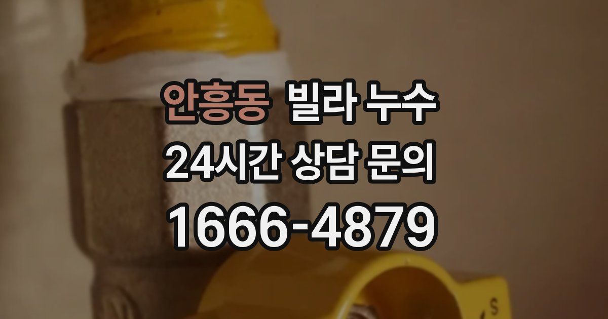 안흥동 빌라 누수