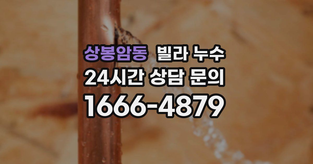 상봉암동 빌라 누수