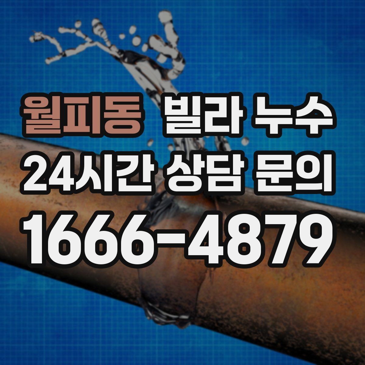 월피동 빌라 누수 벽 뒤편 곰팡이가 반복되면 누수 의심