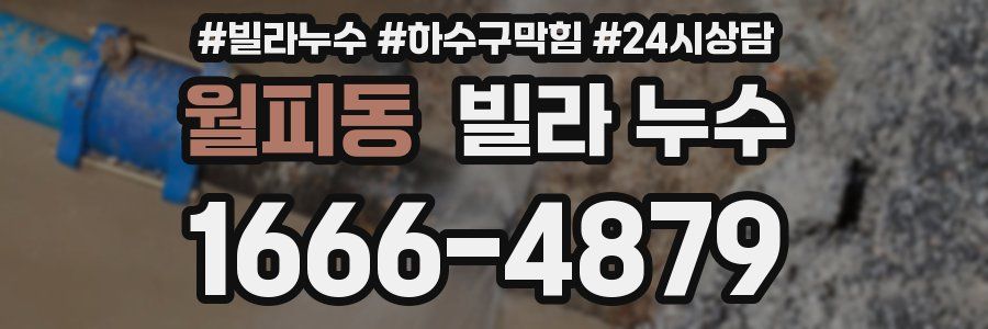 월피동 빌라 누수
