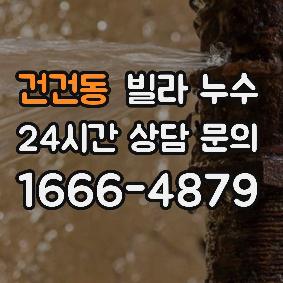 건건동 빌라 누수 식기세척기 설치 후 바닥이 젖는다면