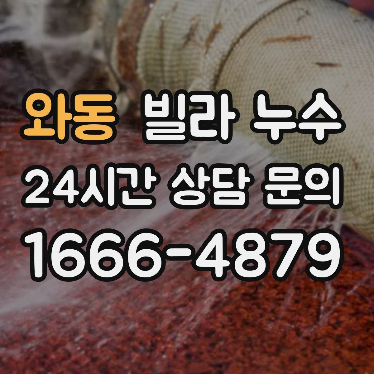 와동 빌라 누수 현관 바닥이 젖으면 외부 유입일까