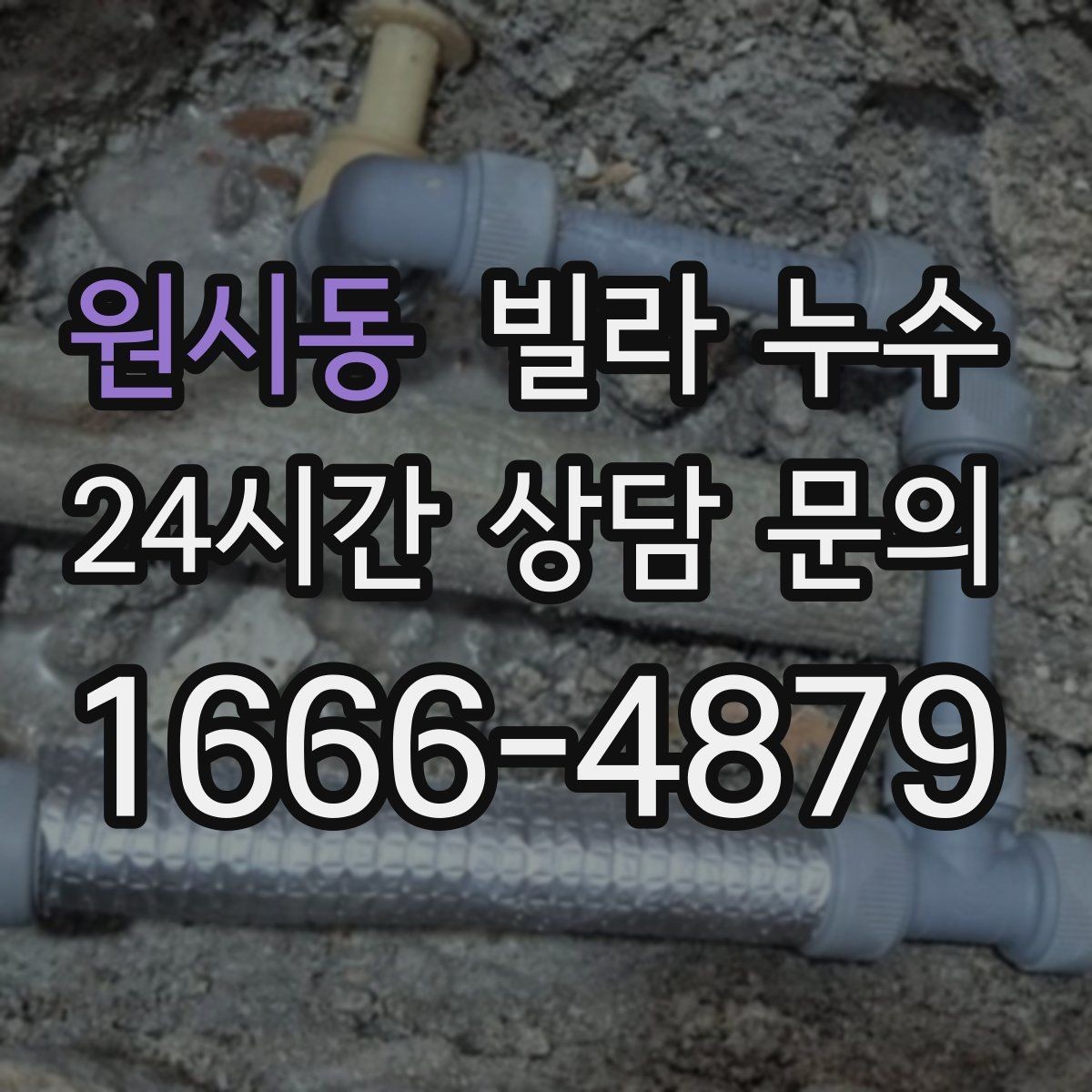 원시동 빌라 누수 벽 뒤편 곰팡이가 반복되면 누수 의심