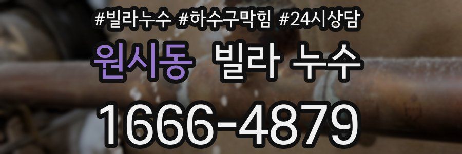 원시동 빌라 누수