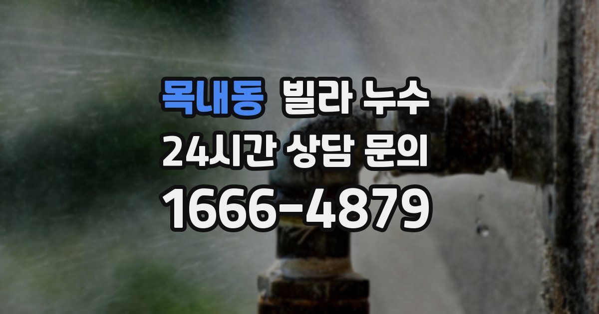 목내동 빌라 누수