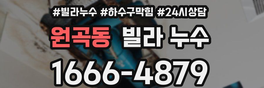 원곡동 빌라 누수