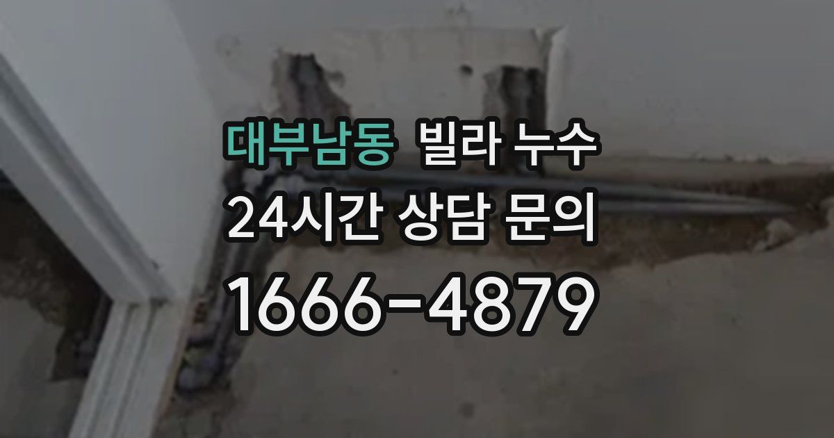 대부남동 빌라 누수