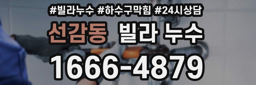 선감동 빌라 누수