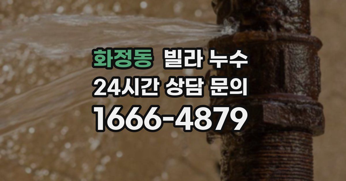 화정동 빌라 누수