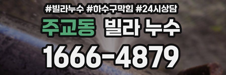 주교동 빌라 누수