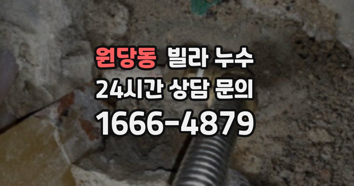 원당동 빌라 누수