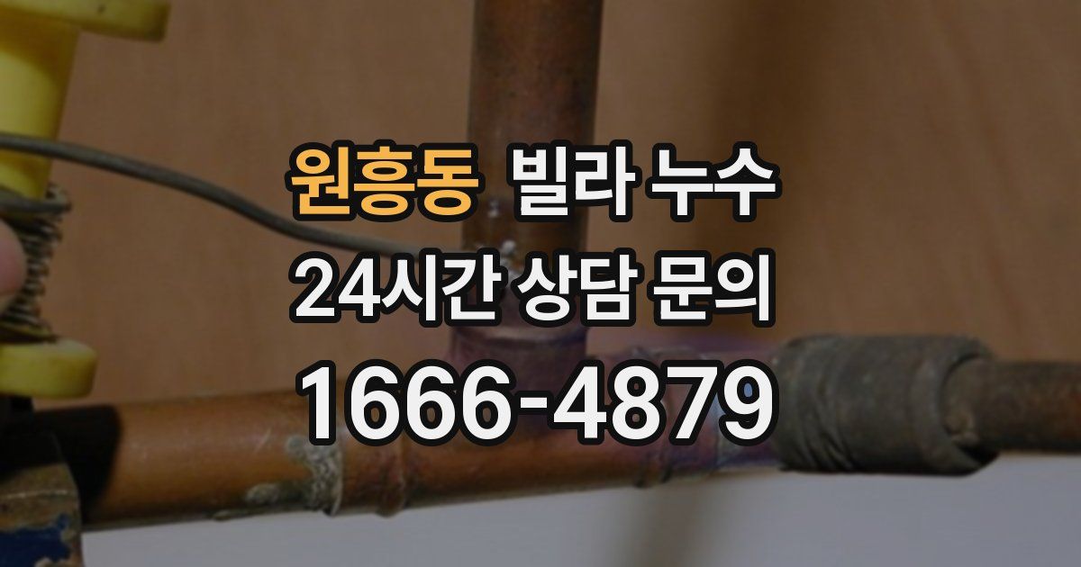 원흥동 빌라 누수