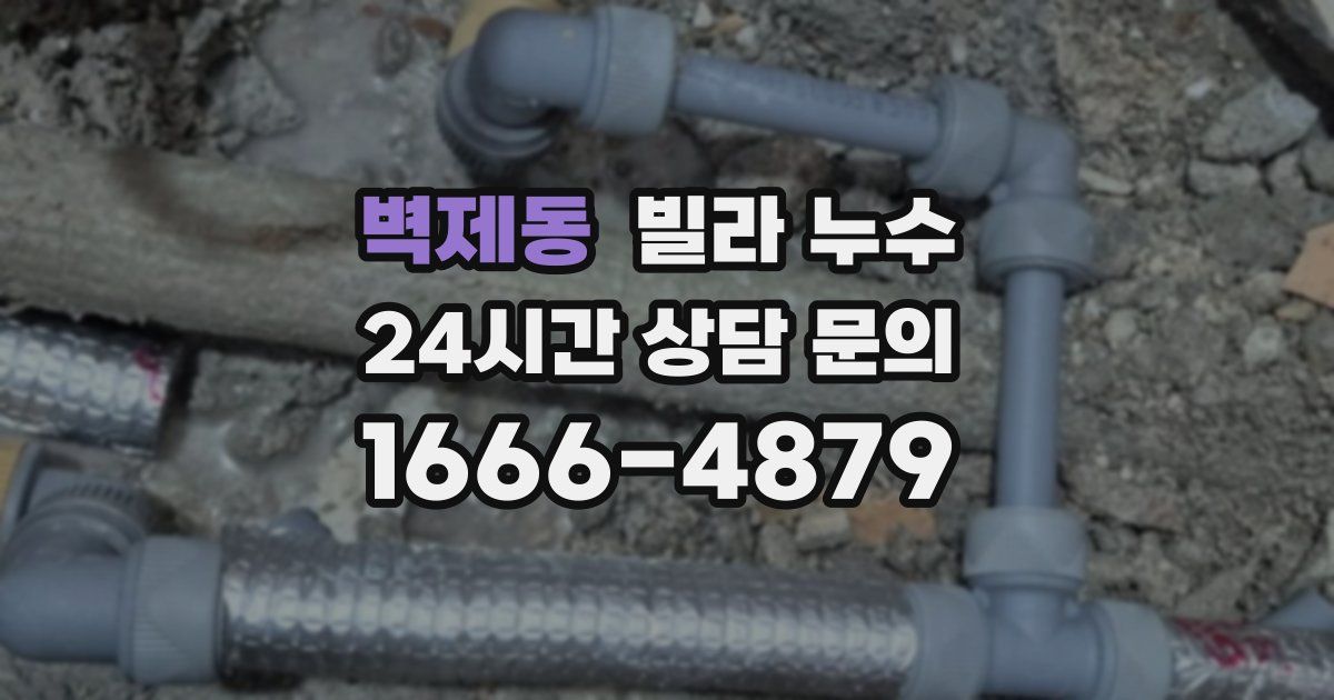 벽제동 빌라 누수