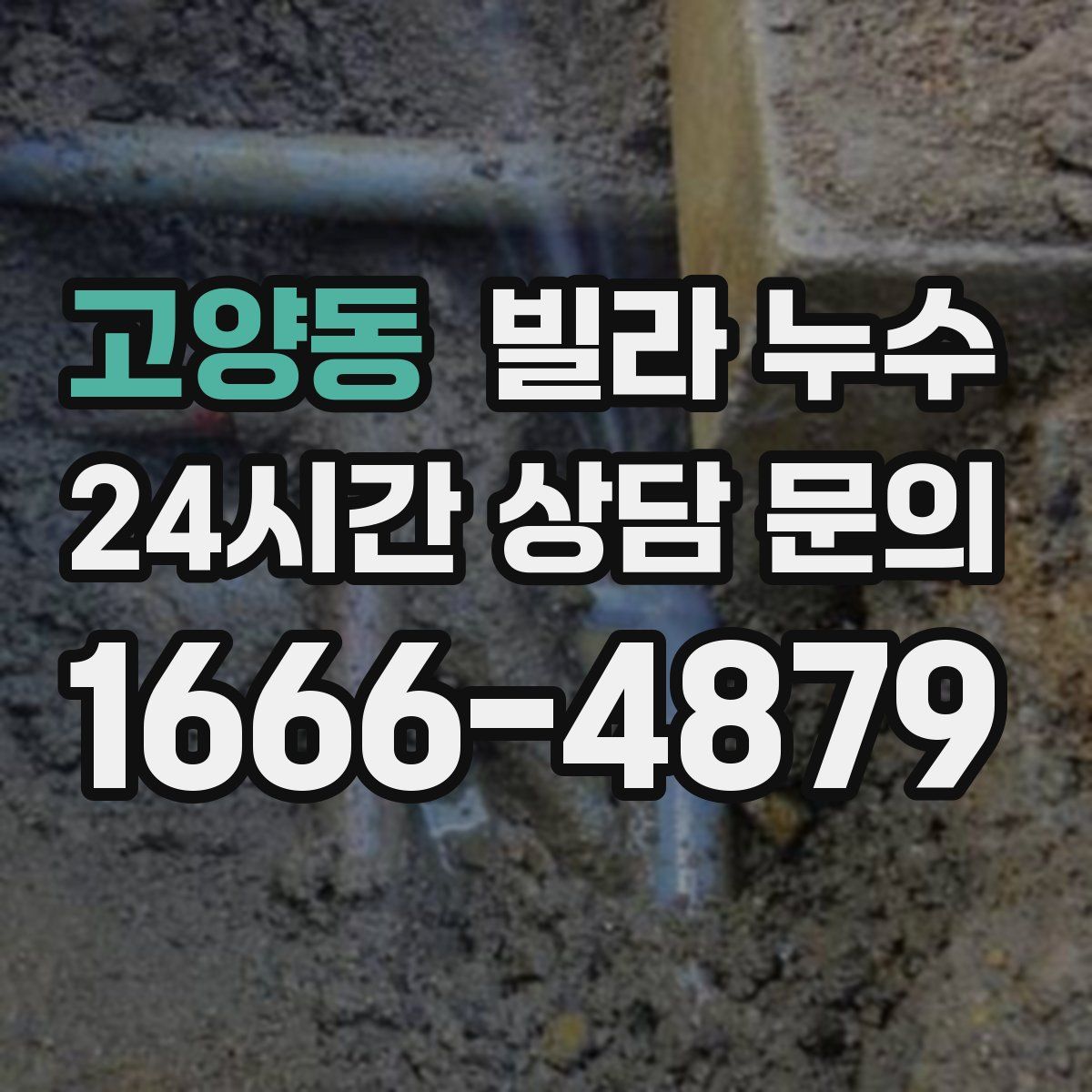 고양동 빌라 누수