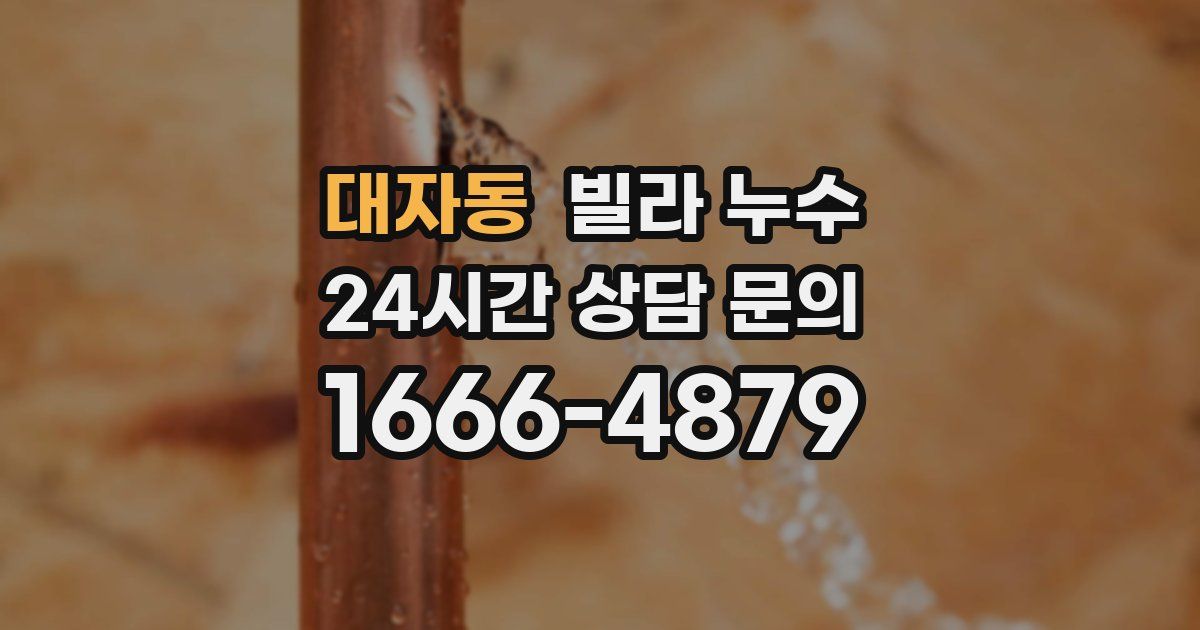 대자동 빌라 누수