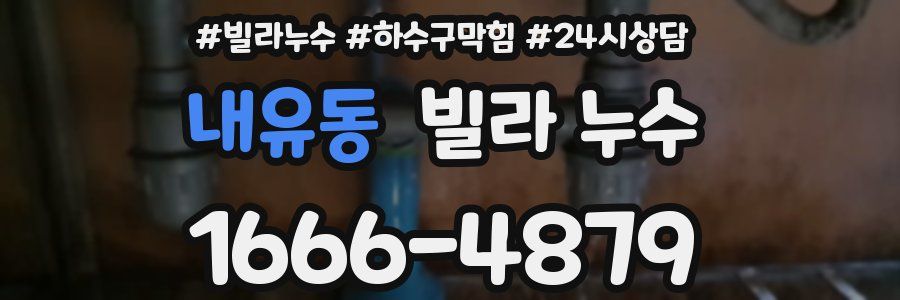 내유동 빌라 누수