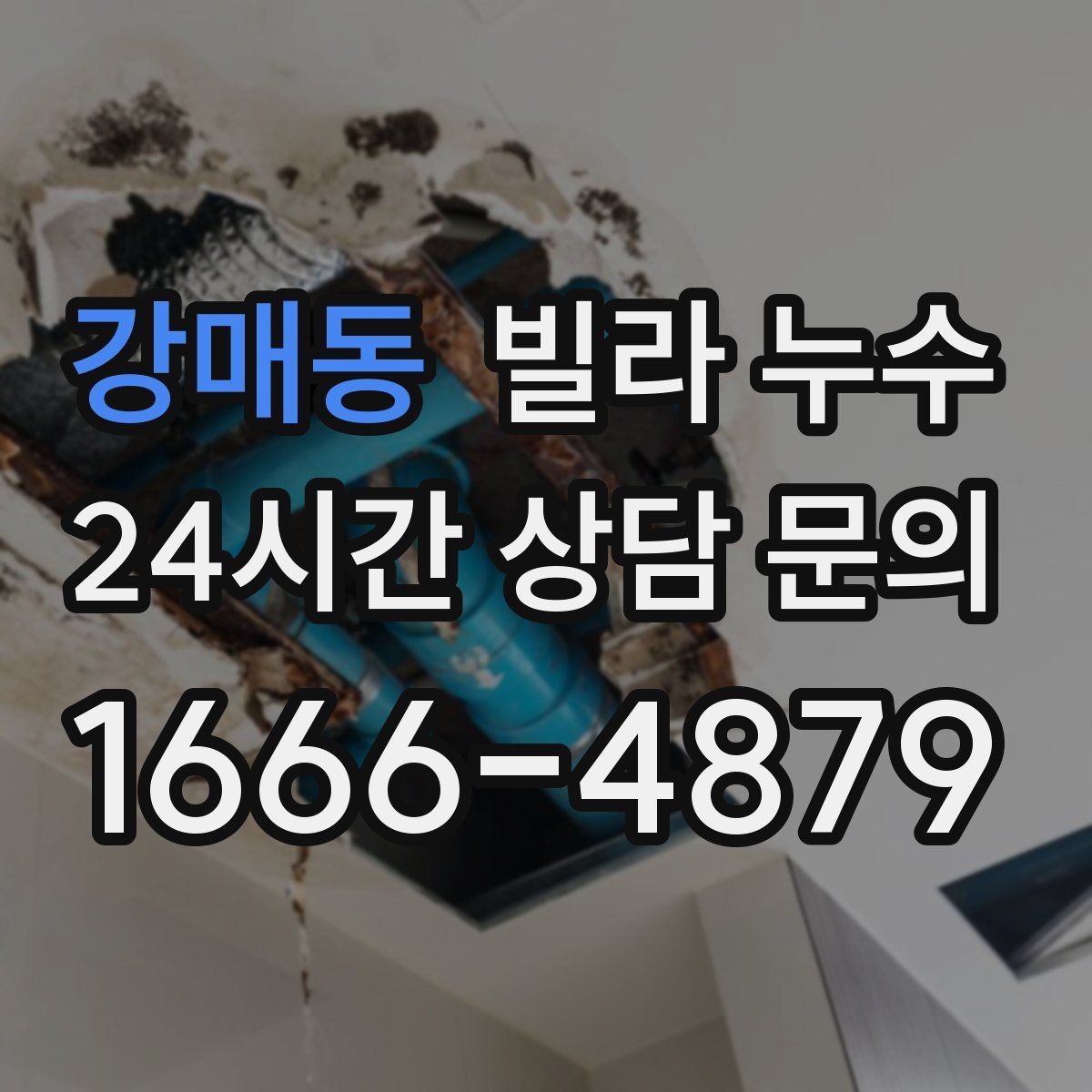 강매동 빌라 누수 섣불리 도배부터 하면 재발할 수 있어요