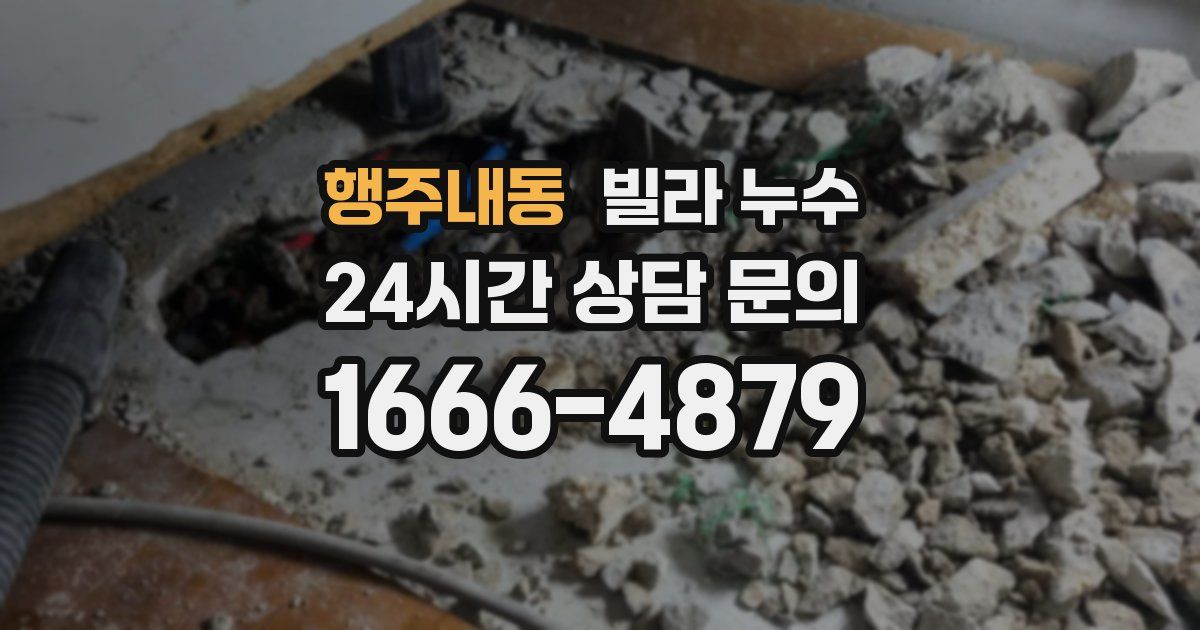 행주내동 빌라 누수