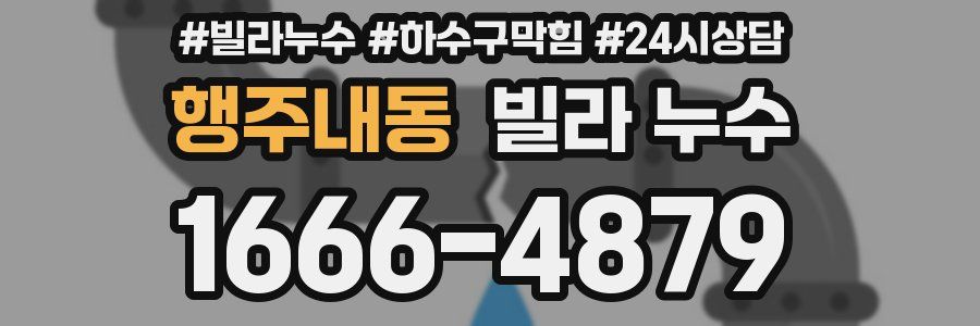 행주내동 빌라 누수