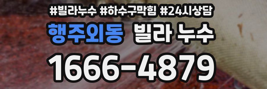 행주외동 빌라 누수