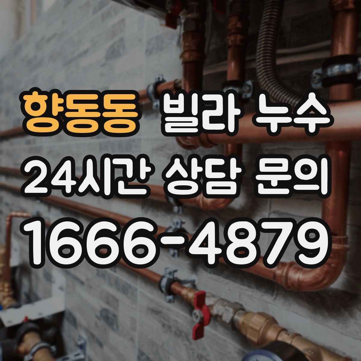 향동동 빌라 누수