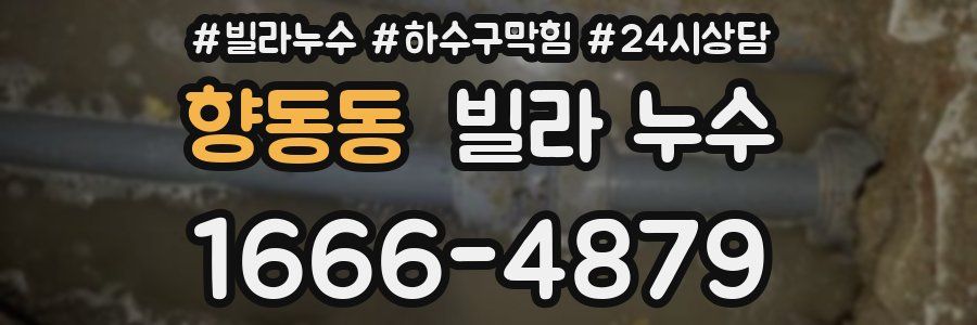 향동동 빌라 누수