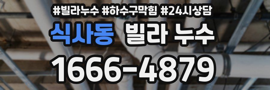 식사동 빌라 누수