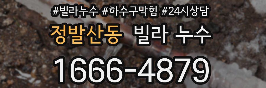 정발산동 빌라 누수