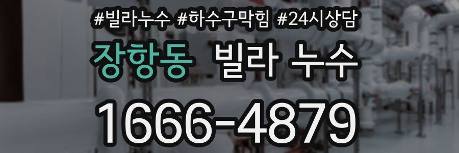 장항동 빌라 누수