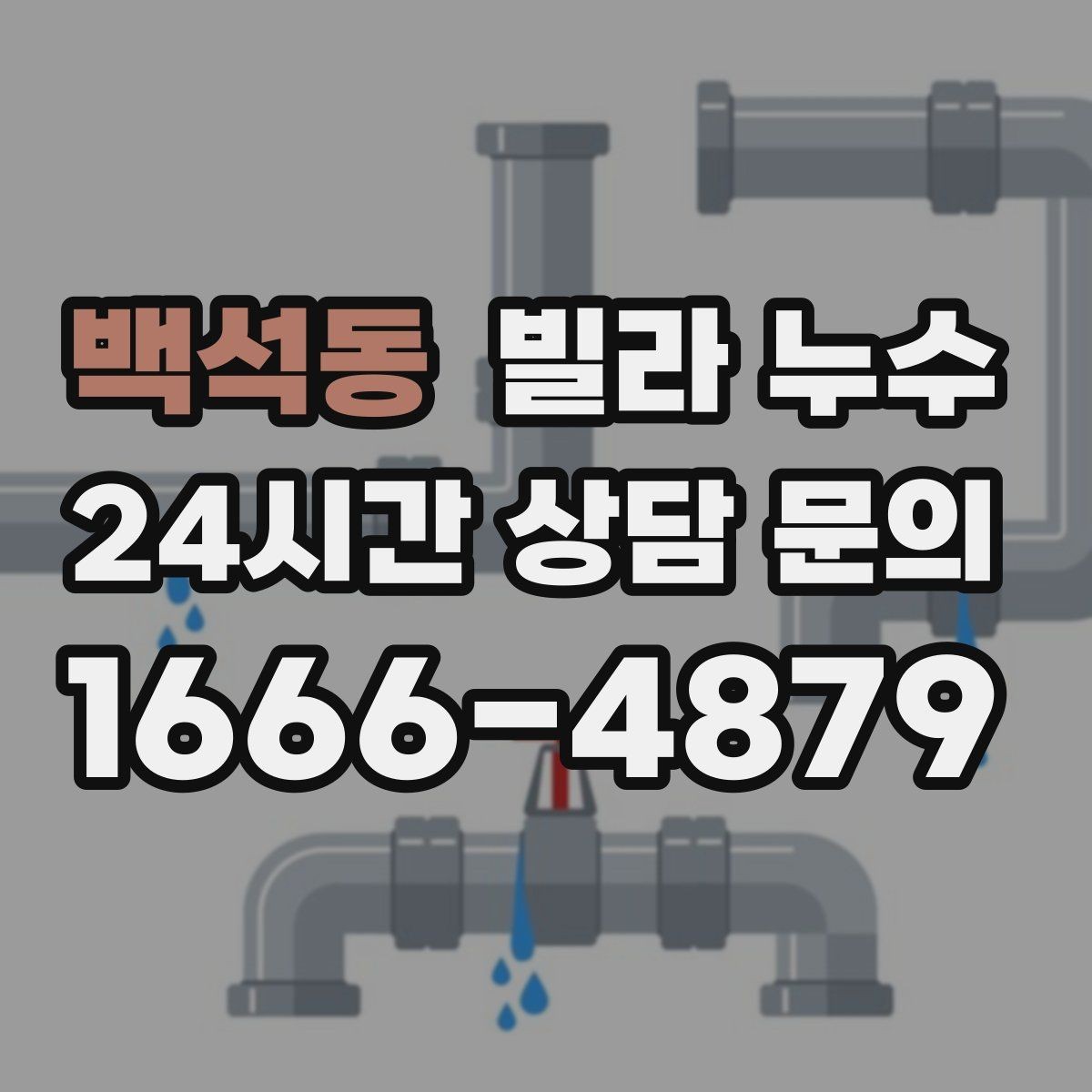 백석동 빌라 누수 거실 천장에 작은 물방울이 맺히기 시작했다면