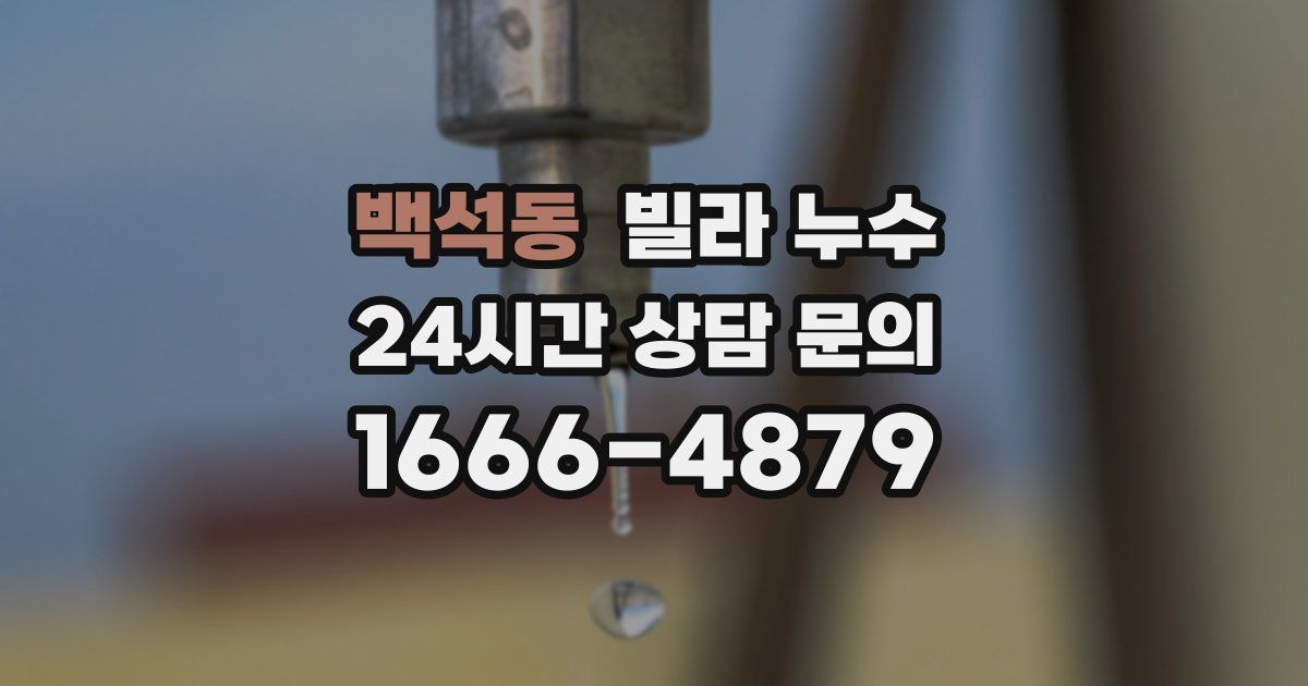 백석동 빌라 누수