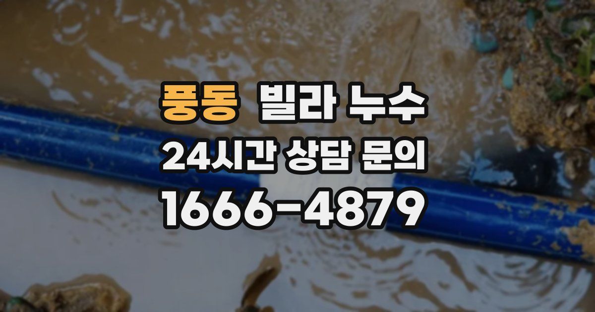 풍동 빌라 누수