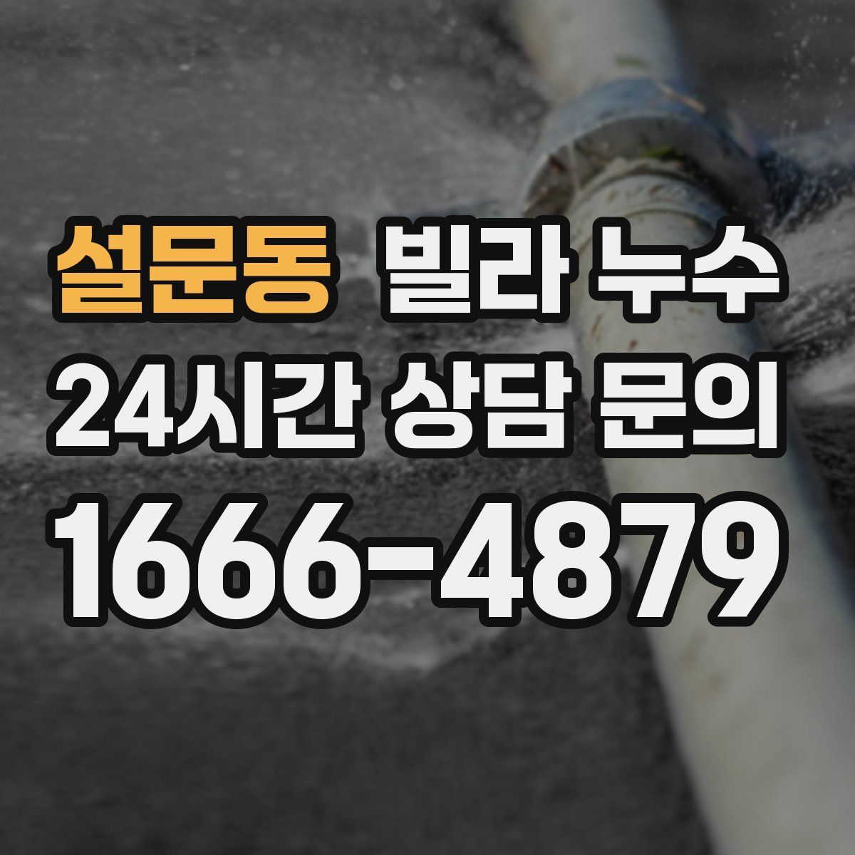 설문동 빌라 누수