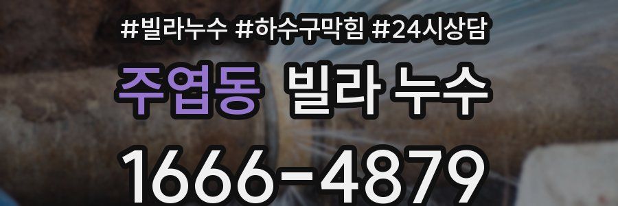 주엽동 빌라 누수