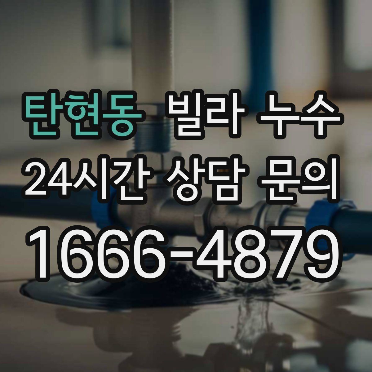 탄현동 빌라 누수 빠른 점검을 위해 사진을 이렇게 찍어보세요