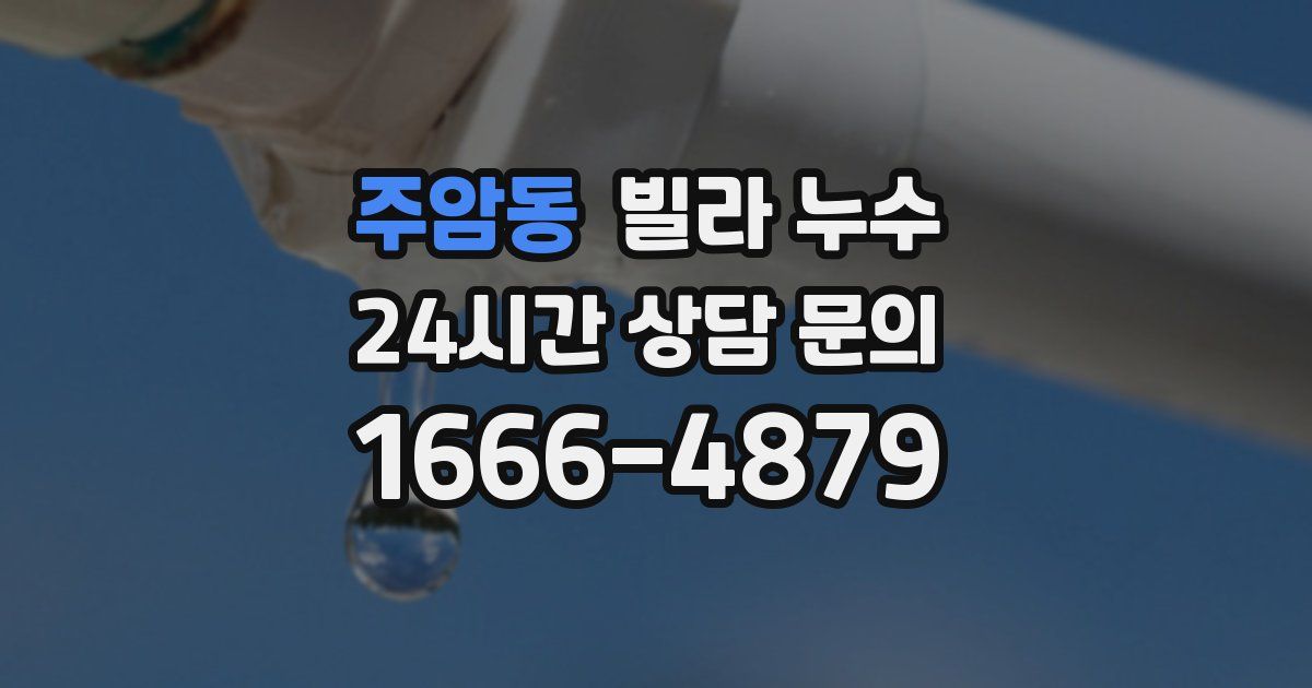 주암동 빌라 누수
