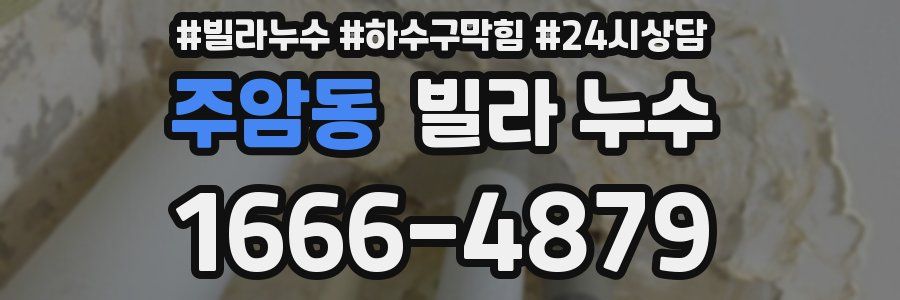 주암동 빌라 누수