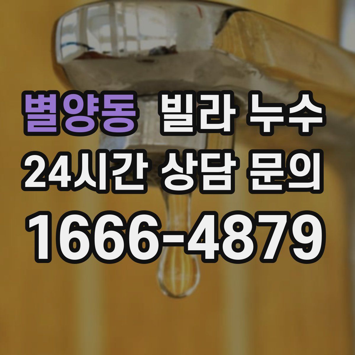 별양동 빌라 누수