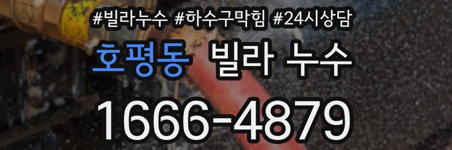 호평동 빌라 누수